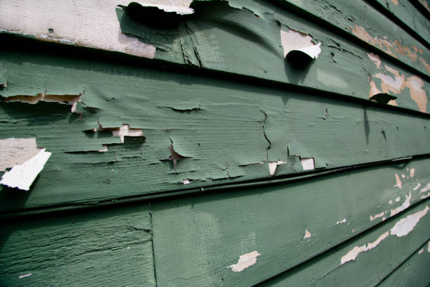 Best Property Management Cleanouts  in Mexico, IN