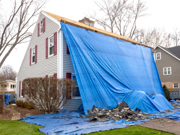 Best Hoarding Cleanup  in Mexico, IN