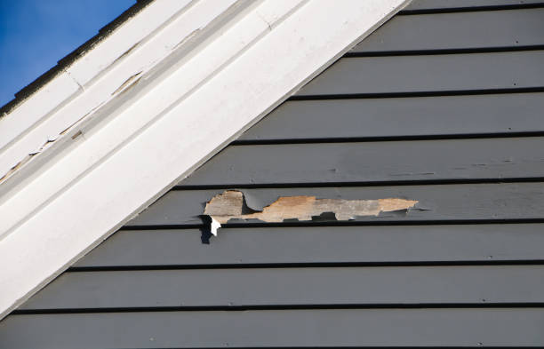 Best Demolition Debris Removal  in Mexico, IN